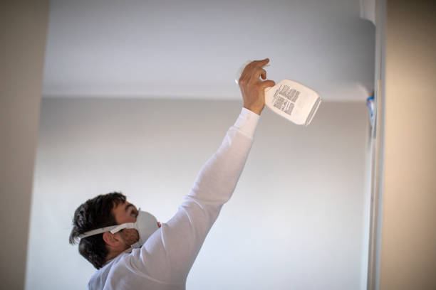 Home Mold Removal in North Beach, MD