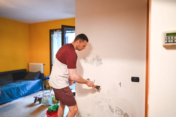 Best Mold Damage Repair  in North Beach, MD
